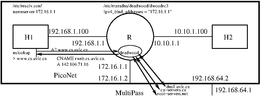 piconet-dns.gif